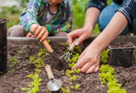 Le jardinage en crèche : une activité éducative les enfants